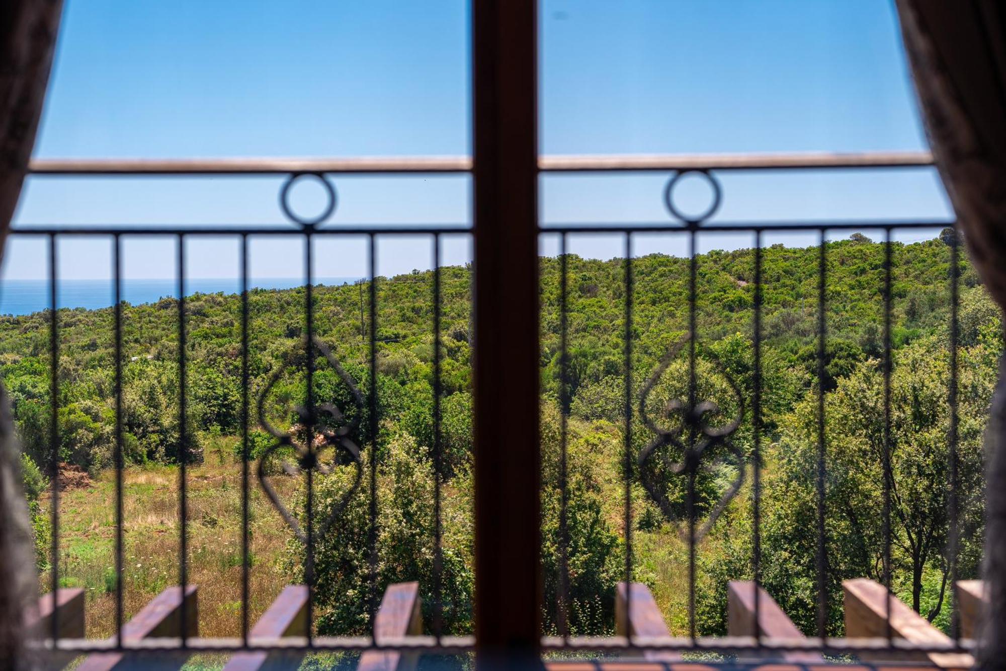 Villa Presidente Budva Exteriér fotografie